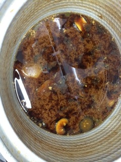 image-102df.jpg