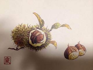 image-13f6d.jpg