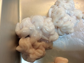 image-c3c5b.jpg
